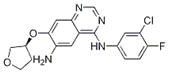 Molecular structure of 4-N-(3-chloro-4-fluorophenyl)-7-[(3S)-oxolan-3-yl]oxyquinazoline-4,6-diamine